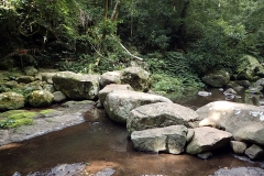 15 One of the crossings of Canungra Creek