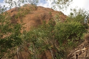 Castle Hill from the Cudtheringa Track