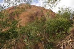 Castle Hill from the Cudtheringa Track