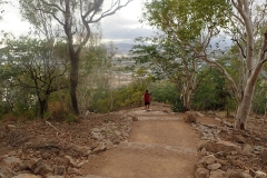 Walking up the last section of the Cudtheringa Track after it meets the Goat Track